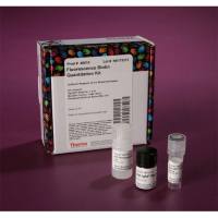 Thermo Scientific46610Pierce荧光生物素定量试剂盒