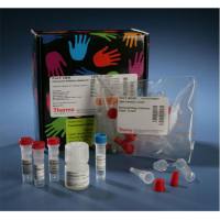 Thermo Scientific84538DyLight 755 Antibody Labeling Kit/DyLight 755抗体标记试剂盒