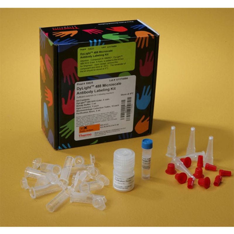 Thermo Scientific53025 DyLight Microscale Antibody Labeling Kits/DyLight微量抗体标记试剂盒