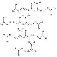 Hepta-L-arginine  CAS号：165893-48-1