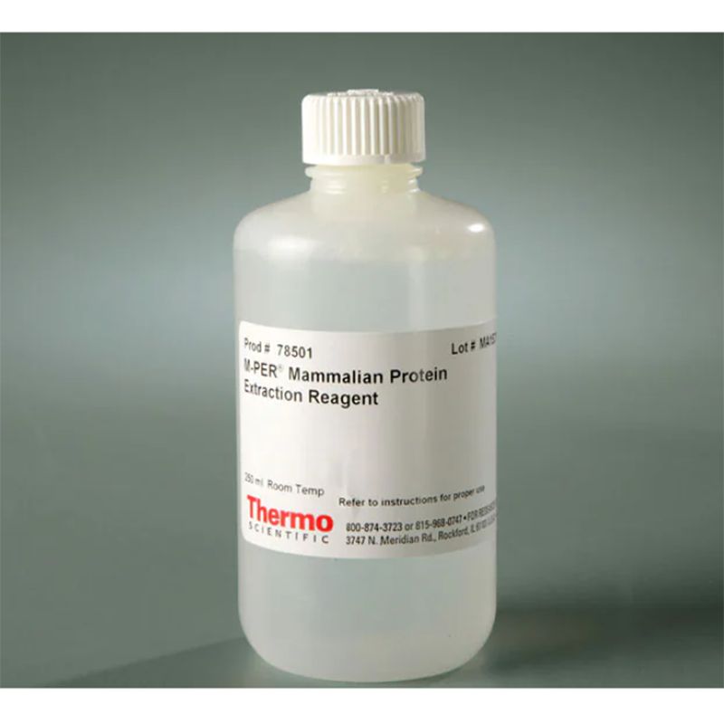 Thermo Scientific78501 M-PER™Mammalian Protein Extraction Reagent/M-PER哺乳动物蛋白提取试剂