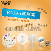 小鼠性激素结合球蛋白 ELISA SHBG试剂盒