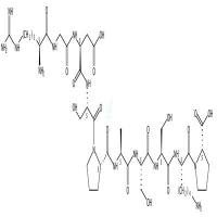 RASG  1  CAS号：91575-25-6
