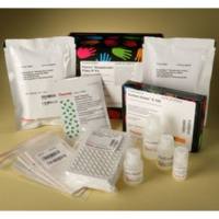 Thermo Scientific 45360 Pierce Streptavidin Coated Plate IP Kit 链霉亲和素涂层板IP套件