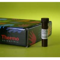Thermo Scientific78420Halt Phosphatase Inhibitor Cocktail/Halt磷酸酶抑制剂