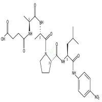 N-Succinyl-AAPL-p-nitroanilide CAS号:70968-04-6