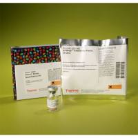 Thermo Scientific28005Pierce Biotin Quantitation Kit 生物素定量试剂盒