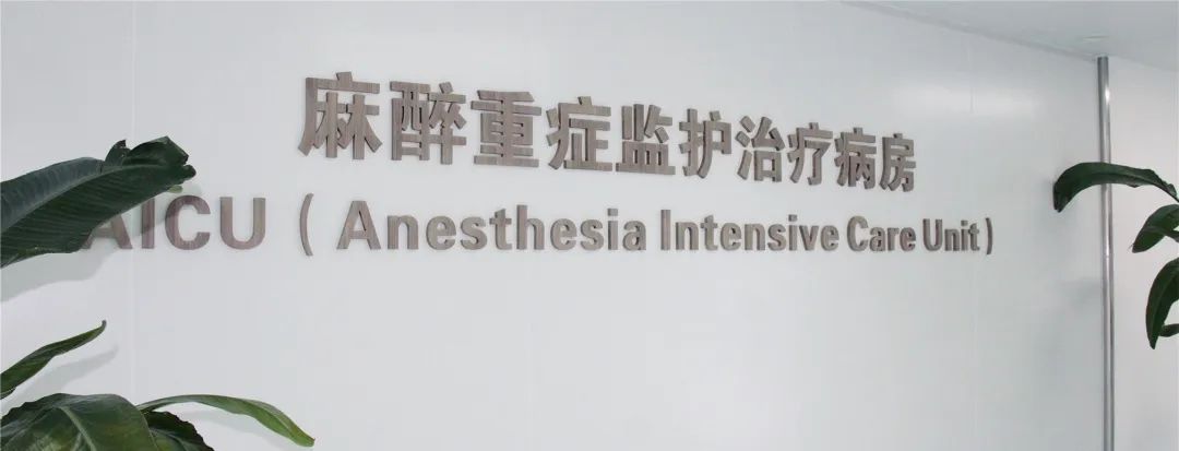 提供生命的「安全港湾」——湖州市中心医院麻醉重症监护治疗病房（AICU）正式启用