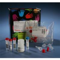 Thermo Scientific62275DyLight Antibody Labeling Kits/DyLight抗体标记试剂盒