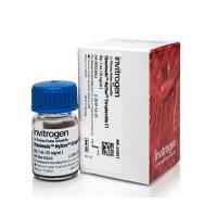 赛默飞Invitrogen65001Dynabeads™ MyOne™ Streptavidin C1/Dynabead™ MyOne™ 链霉素亲和素 C1