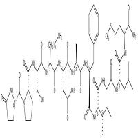 Eledone peptide  CAS号：69-25-0