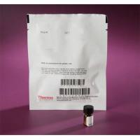 Thermo Scientific28665 Pierce Iodination Beads 碘化珠