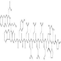 Rat gastrin-17 I  CAS号：81123-06-0