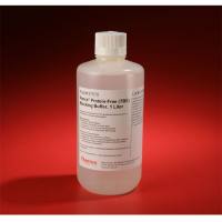 Thermo Scientific37570Pierce Protein-Free (TBS) Blocking Buffer/无蛋白（TBS）封闭缓冲液/封闭液