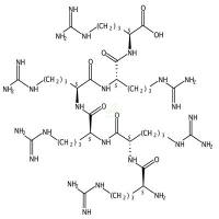 H-Arg-Arg-Arg-Arg-Arg-Arg-OH  CAS号：96337-25-6