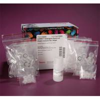 Thermo Scientific88305HiPPR™Detergent Removal Spin Column Kit/HiPPR™除垢旋转柱试剂盒