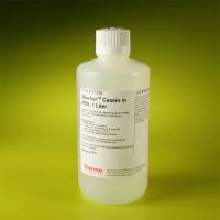 Thermo Scientific37528Blocker Casein in PBS/酪蛋白封闭缓冲液/封闭液