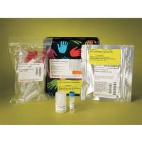 Thermo Scientific46410NHS-荧光素(5/6-羧基荧光素琥珀酰亚胺酯),混合异构体