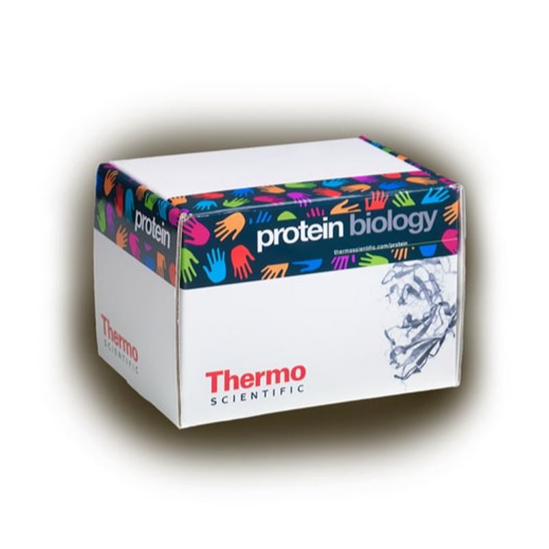 Thermo Scientific35040Pierce 1