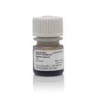 Thermo Scientific78601Pierce Glutathione Magnetic Agarose Beads/Pierce谷胱甘肽磁性琼脂糖珠
