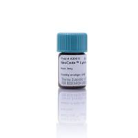 Thermo ScientificA33613NeuCode Lysine-080