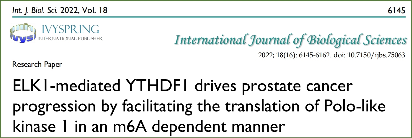 Polysome profiling技术应用--YTHDF1通过以m6A依赖的方式促进前列腺癌的进展