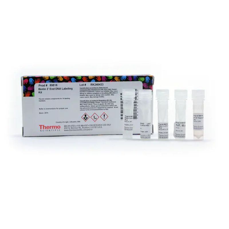 Thermo Scientific89818Pierce™ Biotin 3' End DNA Labeling Kit/Pierce 生物素3'末端DNA标记试剂盒