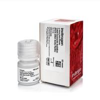 赛默飞Invitrogen 4484453 Total Exosome Isolation Reagent (from other body fluids)/总外泌体分离试剂（来自其他体液）