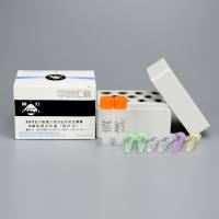 发热*伴血小板减少综合征布尼亚病毒核酸检测试剂盒（探针法）