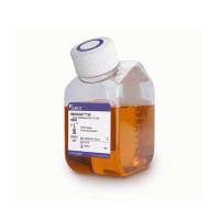 赛默飞Gibco10828028KnockOut™ Serum Replacement/KnockOut™ KOSR血清替代物