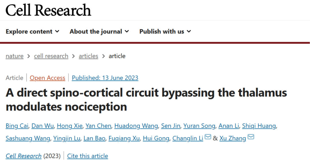 科技前沿 | 广东省智能院张旭院士研究团队发现一条传导痛觉的脊髓-皮层直接通路