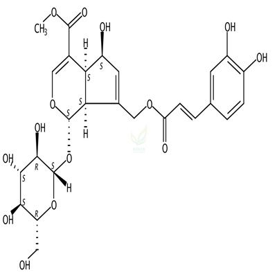 10-O-咖啡酰基-脱乙酰基交让木苷  CAS号：83348-22-5