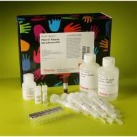 Thermo Scientific88310 Pierce Kinase Enrichment Kit with ATP Probe/含ATP探针的激酶富集试剂盒