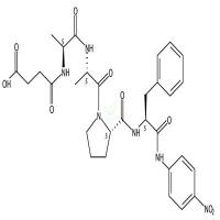 Succinyl-Ala-Ala-Pro-Phe-p-nitroanilide  CAS号：70967-97-4