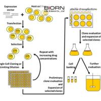 lncRNA 研究综合解决方案