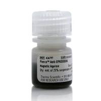 Thermo ScientificA36797 Pierce Anti-DYKDDDDK Magnetic Agarose/Pierce抗DYKDDDDK磁性琼脂糖
