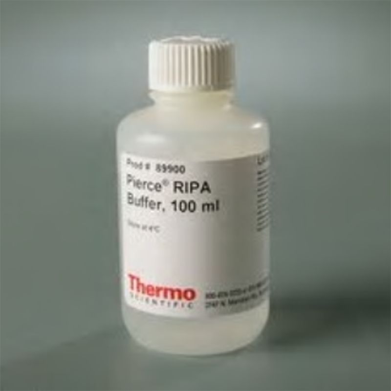 Thermo Scientific89900RIPA Lysis and Extraction Buffer/RIPA裂解液