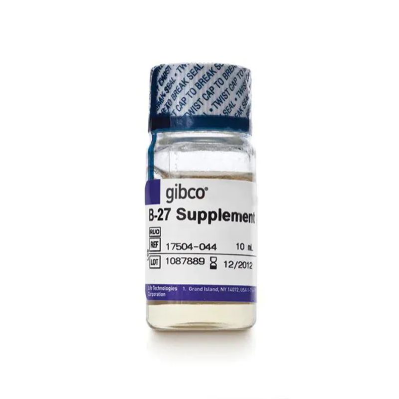 赛默飞Gibco17504044 B-27™ Supplement (50X), serum free/培养添加物