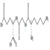 L-Lysylglycyl-L-glutamic acid  CAS号：88096-12-2