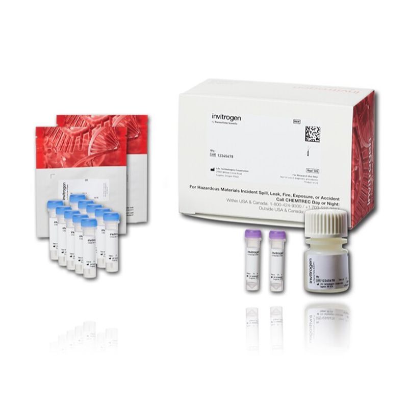 赛默飞Invitrogen A21665 ARES Alexa Fluor 488 DNA Labeling Kit/Alexa Fluor 488 DNA标记试剂盒
