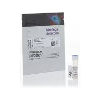 赛默飞Invitrogen A30005 Alexa Fluor 488 5-TFP（Alexa Fluor 488 羧酸，2,3,5,6-四氟ben基酯），5 异构体