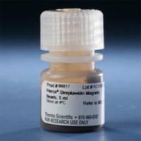Thermo Scientific88817Pierce Streptavidin Magnetic Beads 链霉抗生物素蛋白磁珠