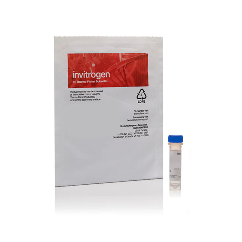 赛默飞Invitrogen A30629Alexa Fluo