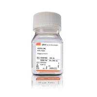 赛默飞Gibco15630080 HEPES (1 M)