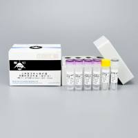 五种致泻性大肠杆菌核酸检测试剂盒（探针法）