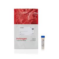 赛默飞InvitrogenA20343 Alexa Fluor 660 C2 Maleimide/Alexa Fluor 660 C2马来酰亚胺