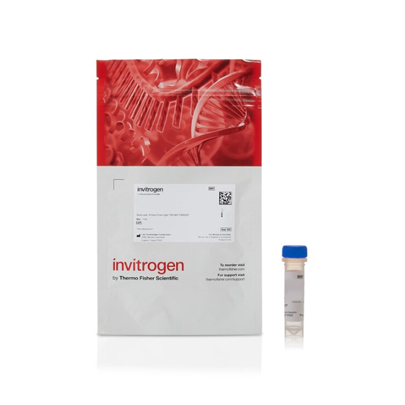 赛默飞InvitrogenA20343 Alexa Fluo