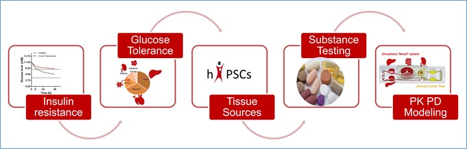 多个类器官串联共培养在疾病模型研究中的意义