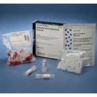 Thermo Scientific89899Pierce Ubiquitin Enrichment Kit 泛素富集试剂盒