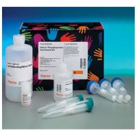 Thermo Scientific90003Pierce Phosphoprotein Enrichment Kit 磷酸蛋白富集试剂盒